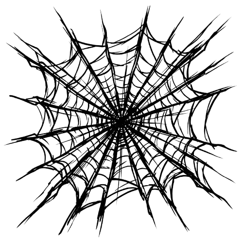 Spider Web Top